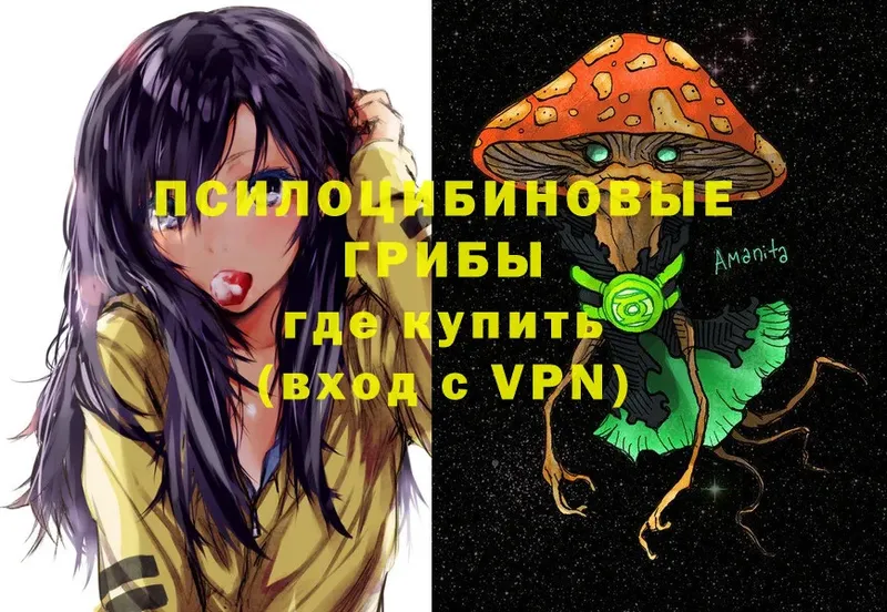 Псилоцибиновые грибы MAGIC MUSHROOMS  кракен как войти  Новоульяновск 